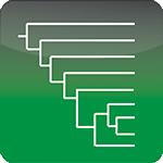 Phylogenetic Tree