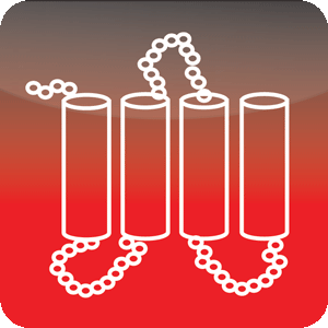 Protein Structure Prediction