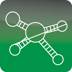 RNA Structure Prediction